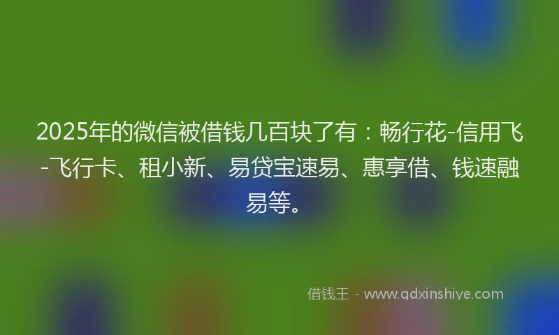 2025年的微信被借钱几百块了有：畅行花-信用飞-飞行卡、租小新、易贷宝速易、惠享借、钱速融易等。