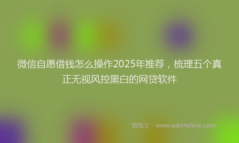 微信自愿借钱怎么操作2025年推荐，梳理五个真正无视风控黑白的网贷软件