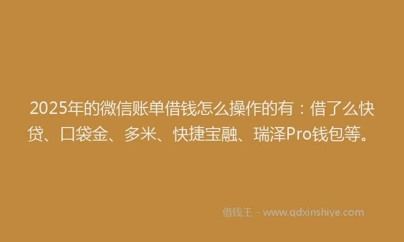 2025年的微信账单借钱怎么操作的有：借了么快贷、口袋金、多米、快捷宝融、瑞泽Pro钱包等。