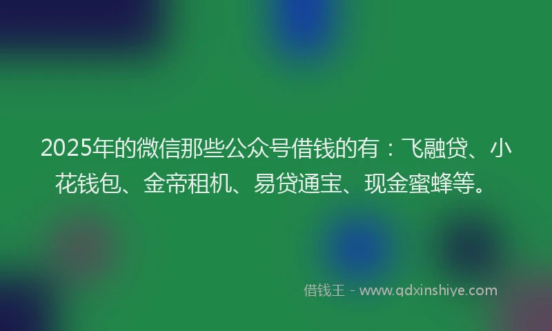 2025年的微信那些公众号借钱的有：飞融贷、小花钱包、金帝租机、易贷通宝、现金蜜蜂等。