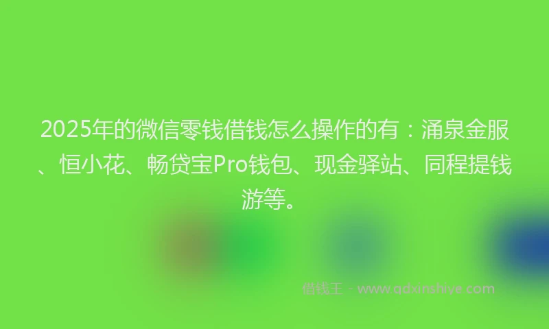 2025年的微信零钱借钱怎么操作的有：涌泉金服、恒小花、畅贷宝Pro钱包、现金驿站、同程提钱游等。