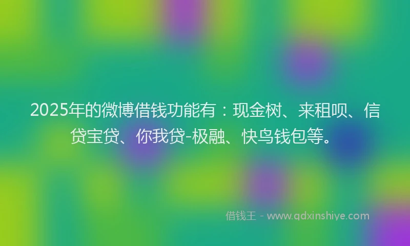 2025年的微博借钱功能有：现金树、来租呗、信贷宝贷、你我贷-极融、快鸟钱包等。