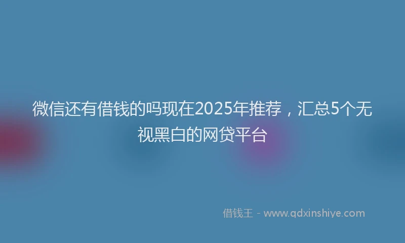 微信还有借钱的吗现在2025年推荐，汇总5个无视黑白的网贷平台