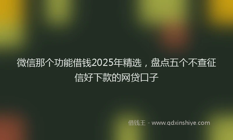 微信那个功能借钱2025年精选，盘点五个不查征信好下款的网贷口子
