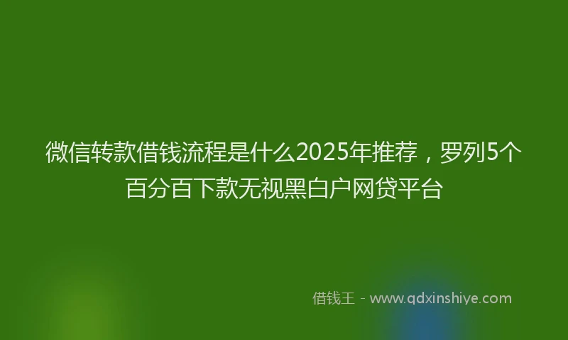 微信转款借钱流程是什么2025年推荐，罗列5个百分百下款无视黑白户网贷平台