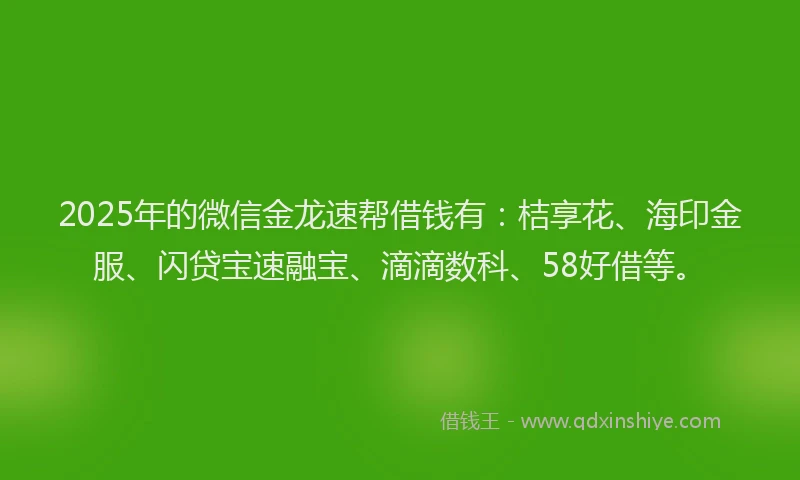 2025年的微信金龙速帮借钱有：桔享花、海印金服、闪贷宝速融宝、滴滴数科、58好借等。