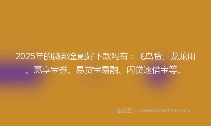 2025年的微邦金融好下款吗有：飞鸟贷、龙龙用、惠享宝券、易贷宝易融、闪贷速借宝等。