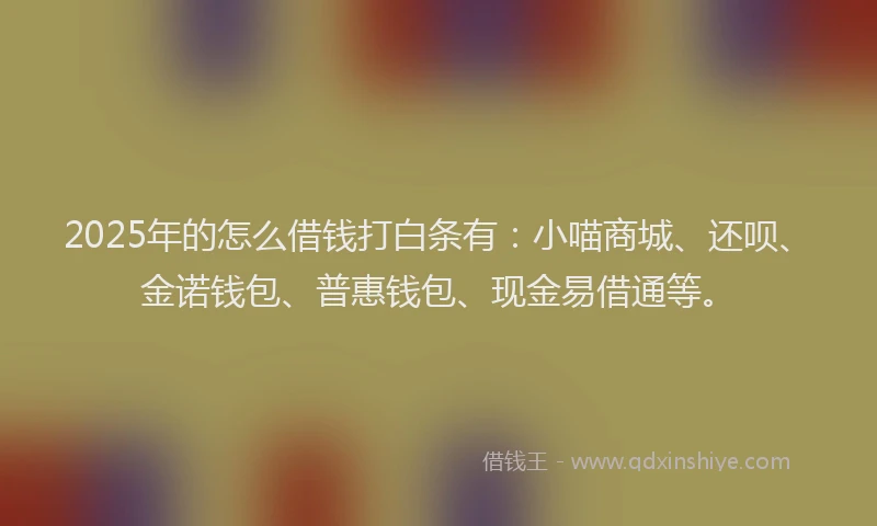 2025年的怎么借钱打白条有：小喵商城、还呗、金诺钱包、普惠钱包、现金易借通等。