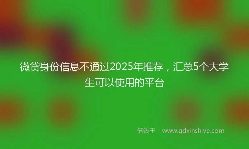 微贷身份信息不通过2025年推荐，汇总5个大学生可以使用的平台