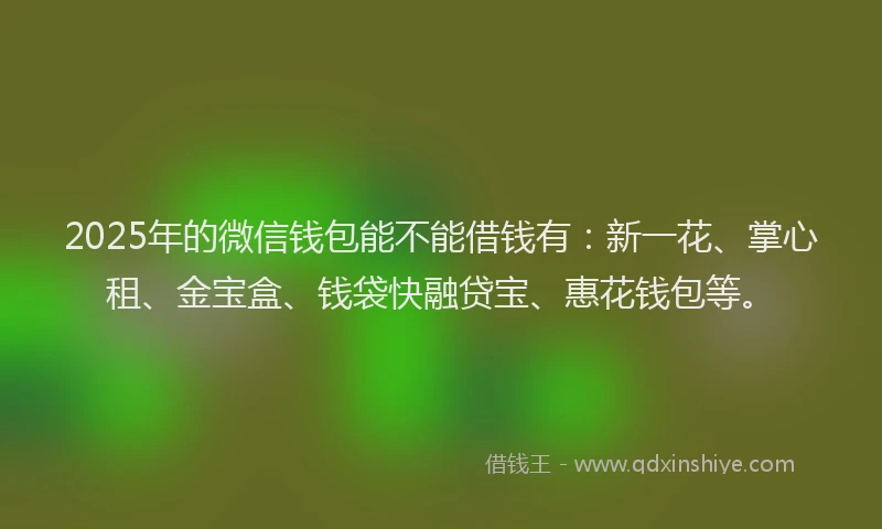 2025年的微信钱包能不能借钱有：新一花、掌心租、金宝盒、钱袋快融贷宝、惠花钱包等。