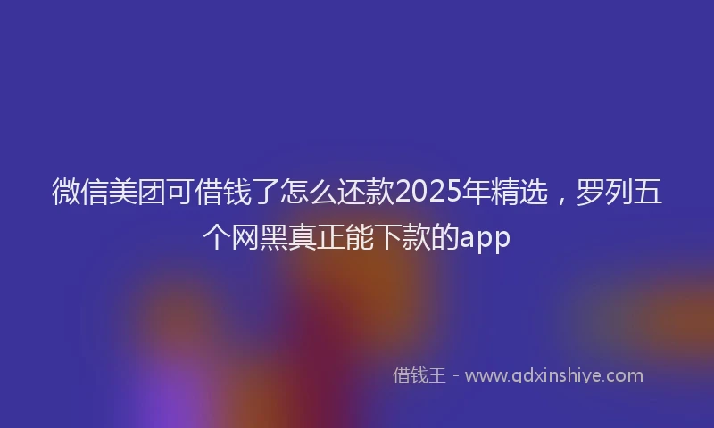 微信美团可借钱了怎么还款2025年精选，罗列五个网黑真正能下款的app