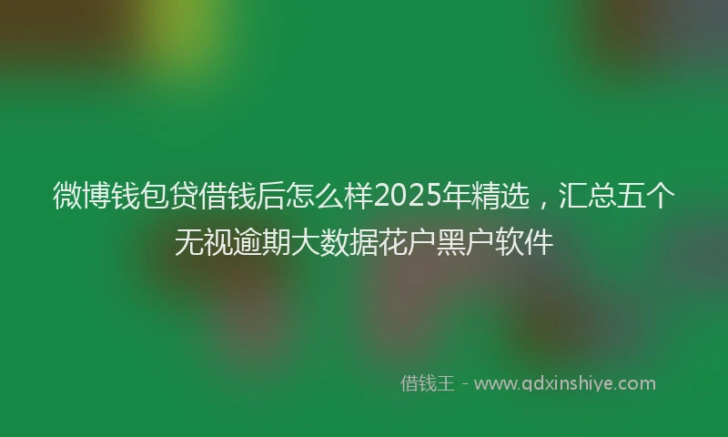 微博钱包贷借钱后怎么样2025年精选，汇总五个无视逾期大数据花户黑户软件