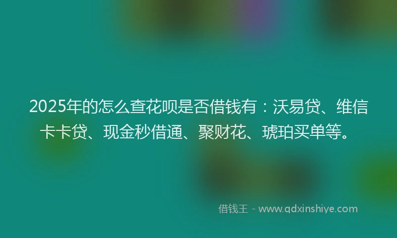 2025年的怎么查花呗是否借钱有：沃易贷、维信卡卡贷、现金秒借通、聚财花、琥珀买单等。