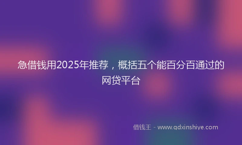 急借钱用2025年推荐，概括五个能百分百通过的网贷平台