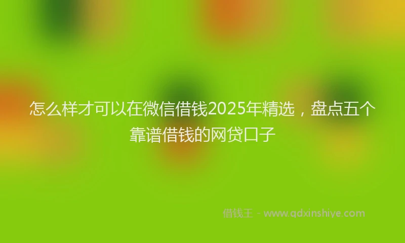 怎么样才可以在微信借钱2025年精选，盘点五个靠谱借钱的网贷口子