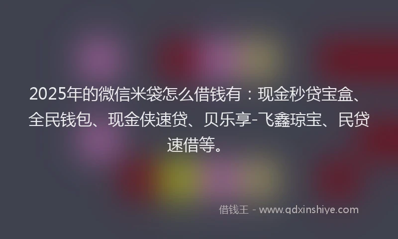 2025年的微信米袋怎么借钱有：现金秒贷宝盒、全民钱包、现金侠速贷、贝乐享-飞鑫琼宝、民贷速借等。