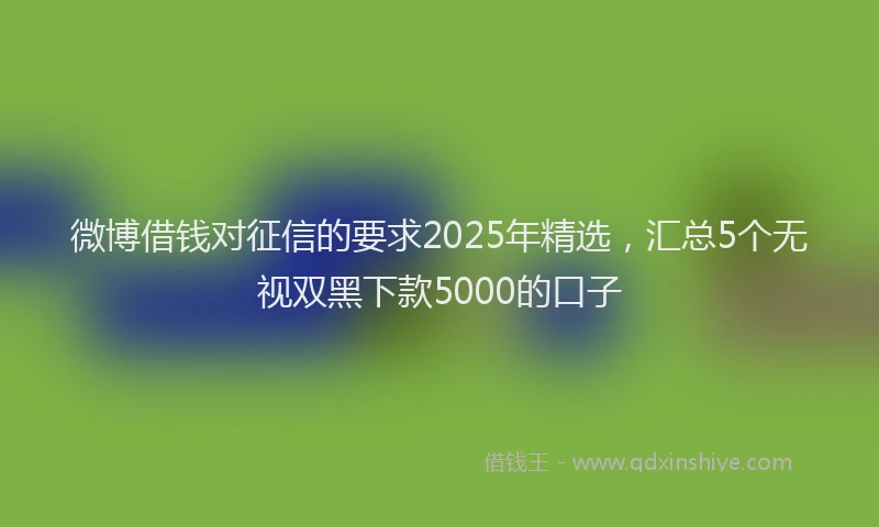 微博借钱对征信的要求2025年精选，汇总5个无视双黑下款5000的口子