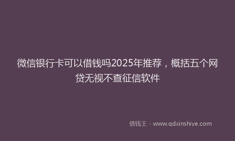 微信银行卡可以借钱吗2025年推荐，概括五个网贷无视不查征信软件