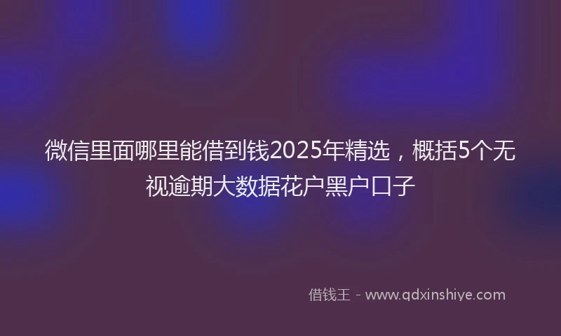 微信里面哪里能借到钱2025年精选，概括5个无视逾期大数据花户黑户口子
