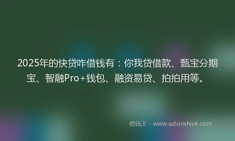 2025年的快贷咋借钱有：你我贷借款、甄宝分期宝、智融Pro+钱包、融资易贷、拍拍用等。