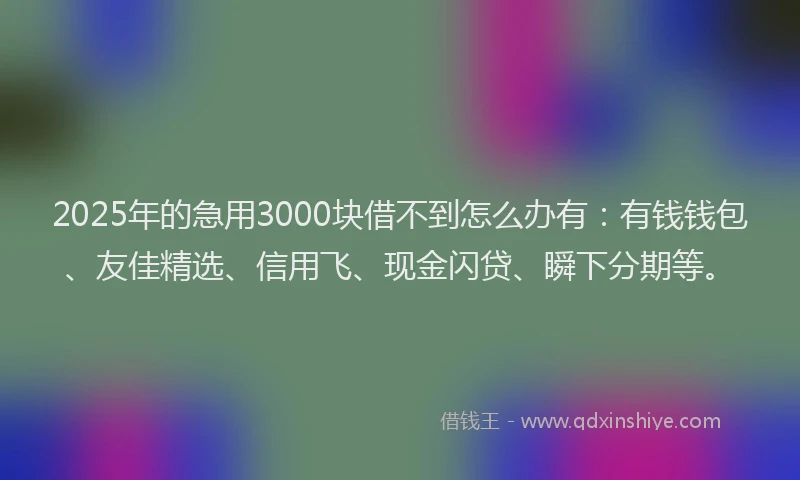 2025年的急用3000块借不到怎么办有：有钱钱包、友佳精选、信用飞、现金闪贷、瞬下分期等。