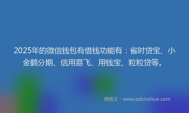 2025年的微信钱包有借钱功能有：省时贷宝、小金鹤分期、信用易飞、用钱宝、粒粒贷等。