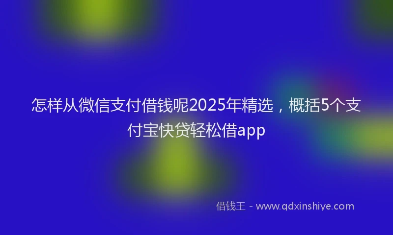 怎样从微信支付借钱呢2025年精选，概括5个支付宝快贷轻松借app