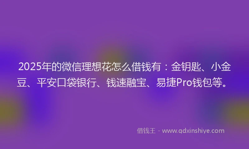 2025年的微信理想花怎么借钱有：金钥匙、小金豆、平安口袋银行、钱速融宝、易捷Pro钱包等。