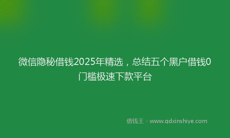 微信隐秘借钱2025年精选，总结五个黑户借钱0门槛极速下款平台