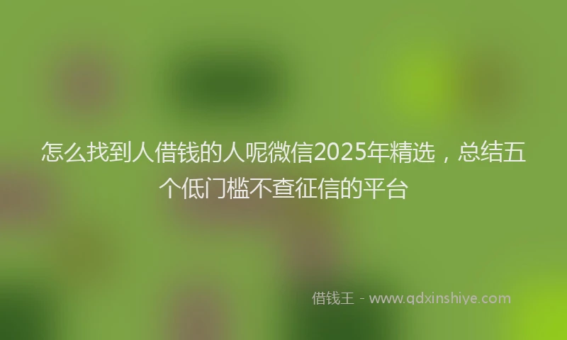 怎么找到人借钱的人呢微信2025年精选，总结五个低门槛不查征信的平台