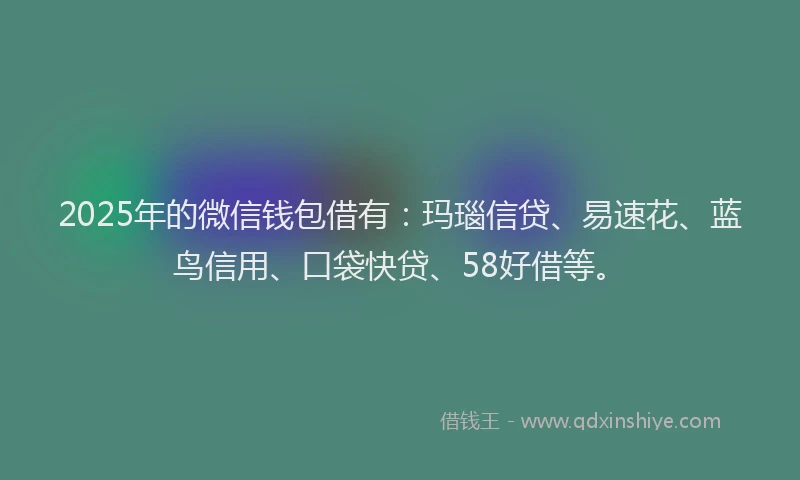 2025年的微信钱包借有：玛瑙信贷、易速花、蓝鸟信用、口袋快贷、58好借等。