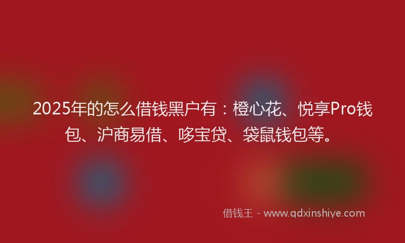 2025年的怎么借钱黑户有：橙心花、悦享Pro钱包、沪商易借、哆宝贷、袋鼠钱包等。