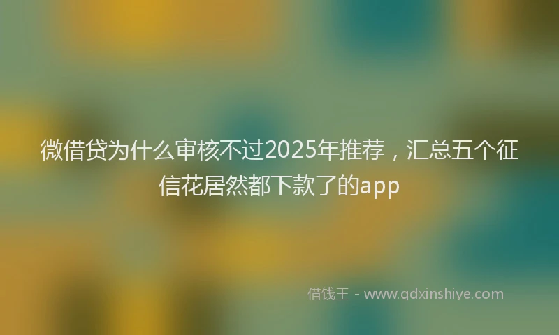 微借贷为什么审核不过2025年推荐，汇总五个征信花居然都下款了的app
