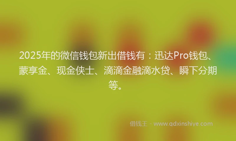 2025年的微信钱包新出借钱有：迅达Pro钱包、蒙享金、现金侠士、滴滴金融滴水贷、瞬下分期等。