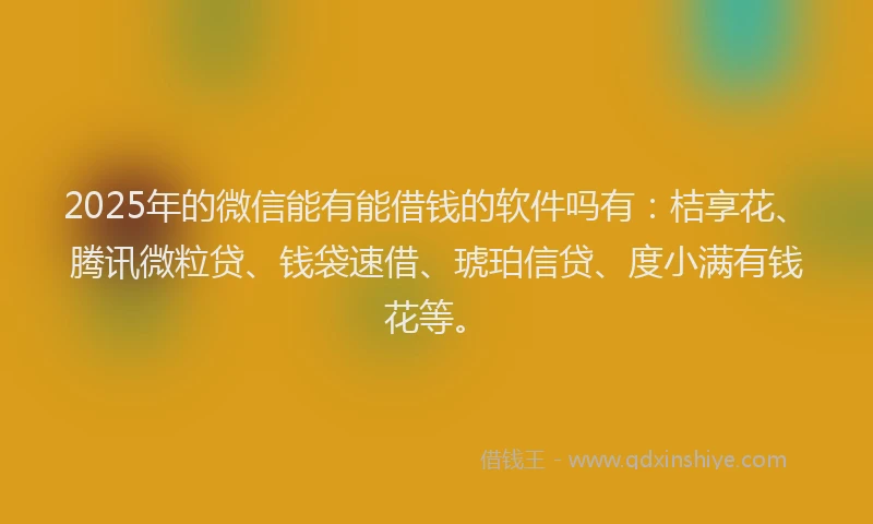 2025年的微信能有能借钱的软件吗有：桔享花、腾讯微粒贷、钱袋速借、琥珀信贷、度小满有钱花等。