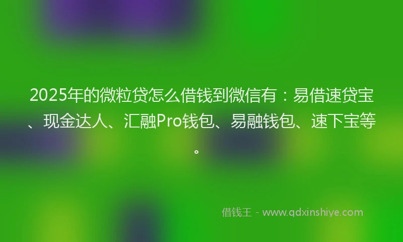 2025年的微粒贷怎么借钱到微信有：易借速贷宝、现金达人、汇融Pro钱包、易融钱包、速下宝等。