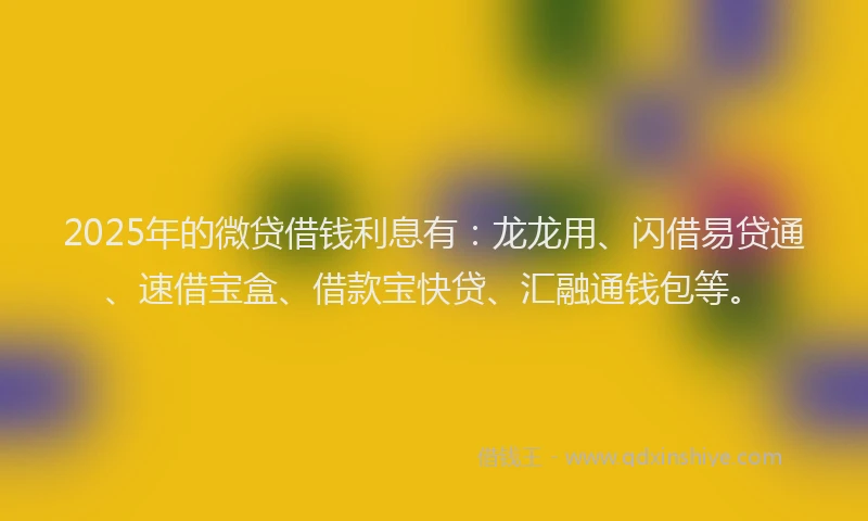 2025年的微贷借钱利息有：龙龙用、闪借易贷通、速借宝盒、借款宝快贷、汇融通钱包等。