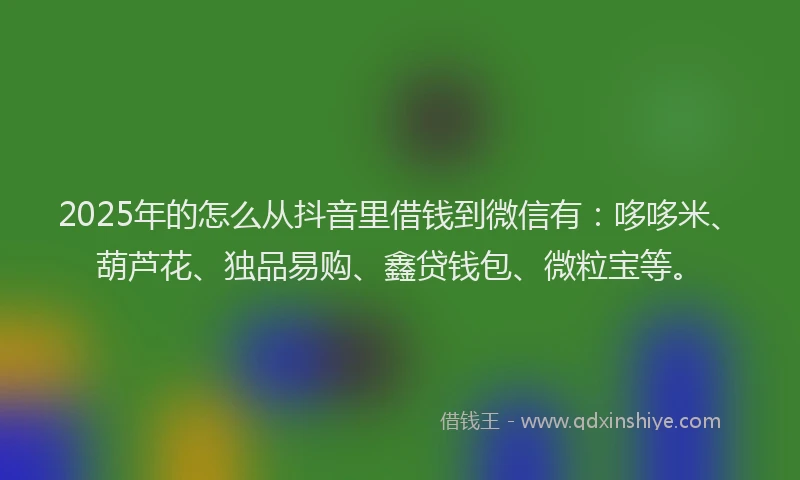 2025年的怎么从抖音里借钱到微信有：哆哆米、葫芦花、独品易购、鑫贷钱包、微粒宝等。