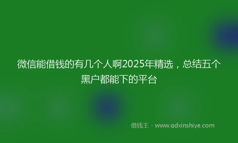 微信能借钱的有几个人啊2025年精选，总结五个黑户都能下的平台