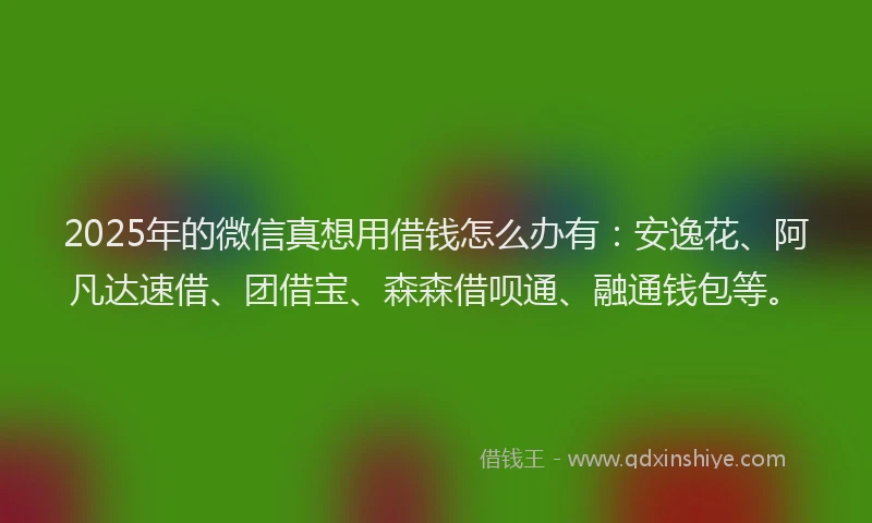 2025年的微信真想用借钱怎么办有：安逸花、阿凡达速借、团借宝、森森借呗通、融通钱包等。