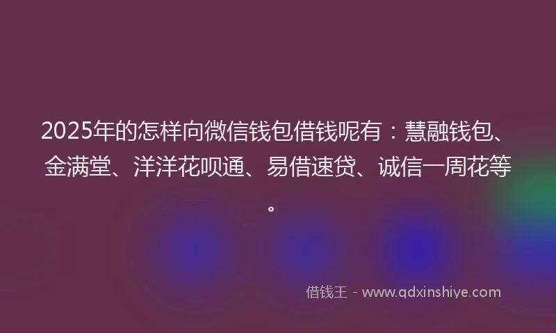 2025年的怎样向微信钱包借钱呢有：慧融钱包、金满堂、洋洋花呗通、易借速贷、诚信一周花等。