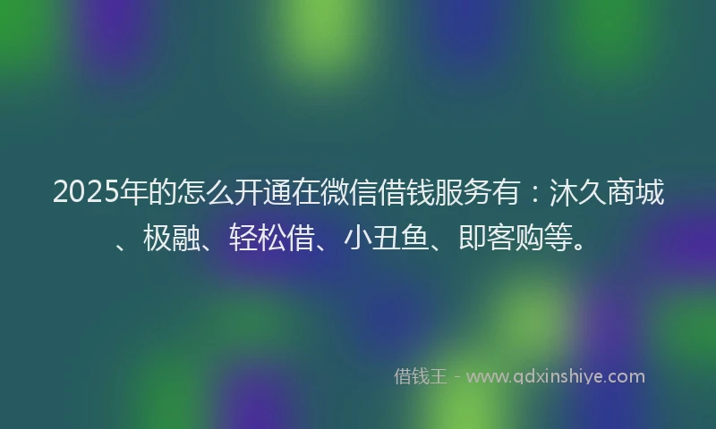 2025年的怎么开通在微信借钱服务有：沐久商城、极融、轻松借、小丑鱼、即客购等。