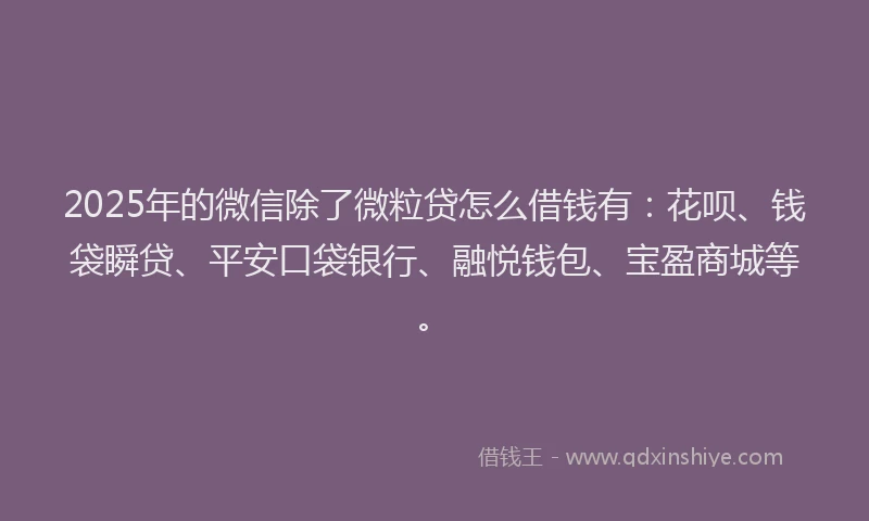 2025年的微信除了微粒贷怎么借钱有：花呗、钱袋瞬贷、平安口袋银行、融悦钱包、宝盈商城等。