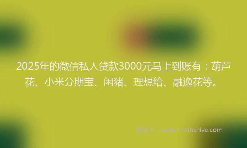 2025年的微信私人贷款3000元马上到账有：葫芦花、小米分期宝、闲猪、理想给、融逸花等。