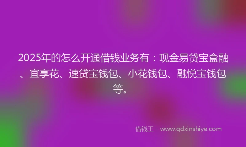 2025年的怎么开通借钱业务有：现金易贷宝盒融、宜享花、速贷宝钱包、小花钱包、融悦宝钱包等。