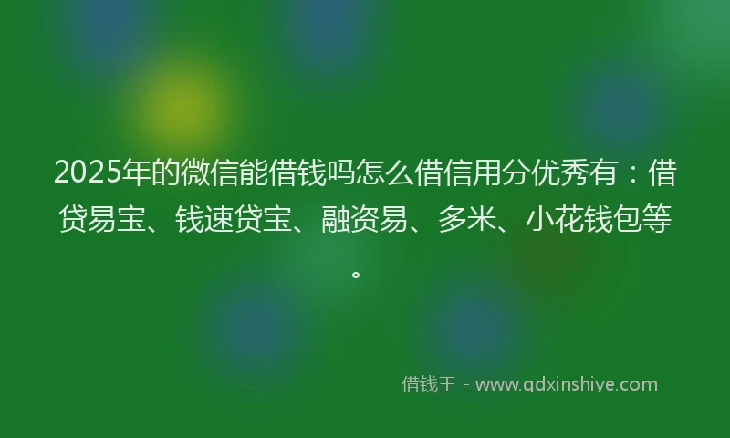 2025年的微信能借钱吗怎么借信用分优秀有：借贷易宝、钱速贷宝、融资易、多米、小花钱包等。