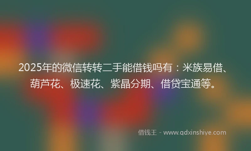 2025年的微信转转二手能借钱吗有：米族易借、葫芦花、极速花、紫晶分期、借贷宝通等。