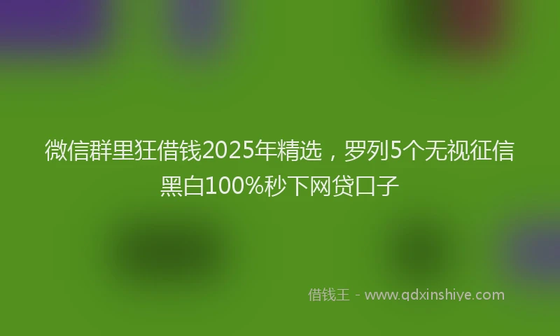 微信群里狂借钱2025年精选，罗列5个无视征信黑白100%秒下网贷口子