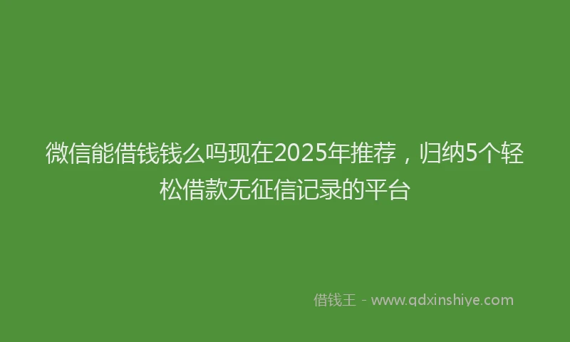 微信能借钱钱么吗现在2025年推荐，归纳5个轻松借款无征信记录的平台