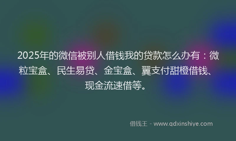 2025年的微信被别人借钱我的贷款怎么办有：微粒宝盒、民生易贷、金宝盒、翼支付甜橙借钱、现金流速借等。